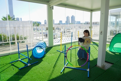 mV92N7fLzqhsKAAWFoDO.JPG?w=940&h=940