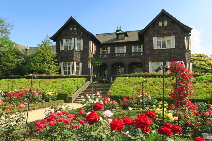 洋館と咲き誇るバラ
