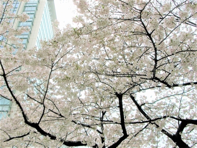 mWQwMh036WPFA4PGZ9uE.jpg?w=940&h=940