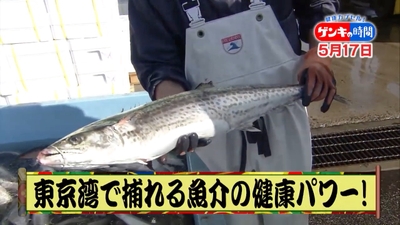 mY1mdg2e5HLkM0gfjKy0.jpg?w=940&h=940