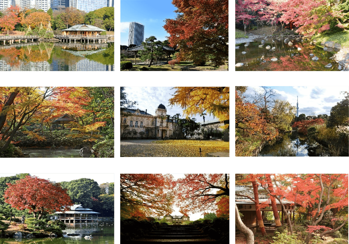 【10/14~開催】第16回　都立庭園　紅葉めぐりスタンプラリー