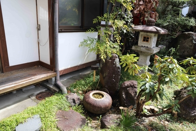 東側に面した庭