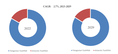 mZVIw63ejpJmSCE9Agnh.png?w=940&h=940