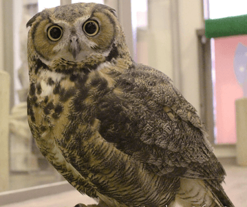 mb2YFxBGmOWGjJ3qzwKv.png?w=940&h=940