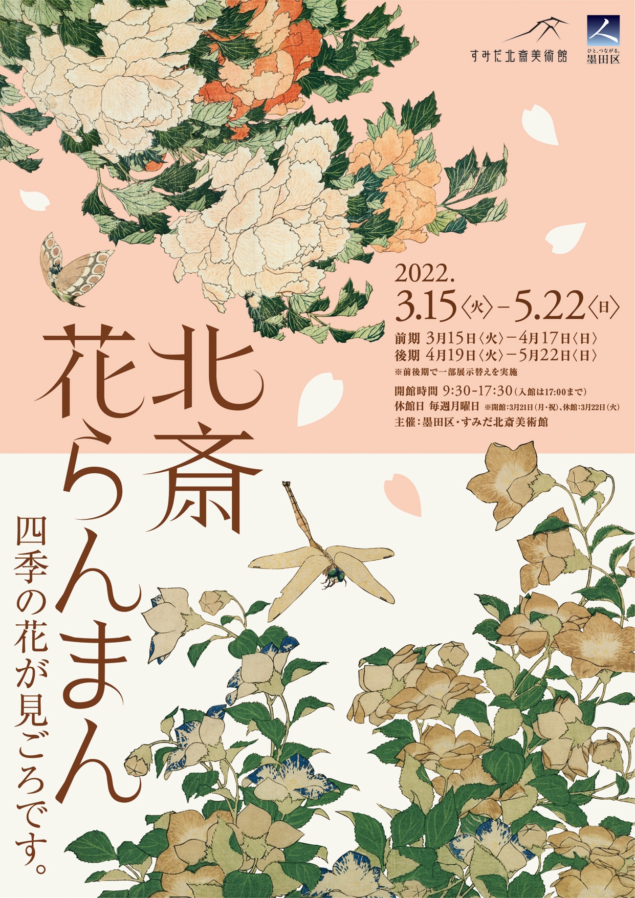 地元個展では完売！北斎道子さん「花」絵画② すみだ北斎美術館、北斎や弟子が描いた桜をはじめ、 四季の花々を展示
