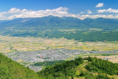 十勝岳連峰と富良野市街地（富良野美瑛広域観光推進協議会ホームページ内「富良野美瑛 Photo Library」より）