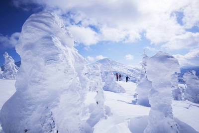 mc4vOjySXrfgXzAX4f1y.jpg?w=940&h=940