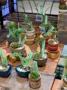 mdH04YFVdi0czpTQenXq.jpeg?w=940&h=940