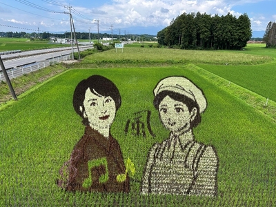 meBNZFsZUuS4pUoLTcpJ.jpeg?w=940&h=940
