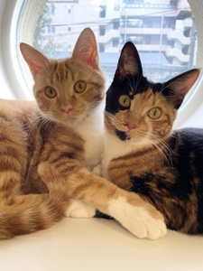 metxx9PiCxAEwb9dDASD.jpg?w=940&h=940