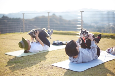 mfQT1SytnkkIQwH47emx.jpg?w=940&h=940