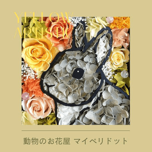 mfe7G4wTtA3eP93liu8A.png?w=940&h=940