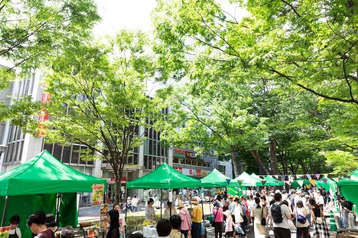 キテキテ府中マルシェ