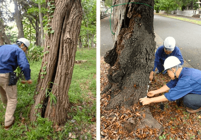 mhEOsRexjMn3xTCXC69I.png?w=940&h=940