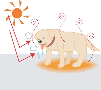 mjX9oEnsZOrz2xy1JkY8.jpeg?w=940&h=940