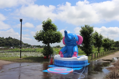 mjzbhyRuV4br232cztJU.jpg?w=940&h=940