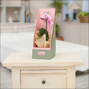 mkqK9a9yXU8DkTUx9Eev.jpg?w=940&h=940