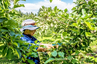 ml3gspZsZMloWy4rcryH.jpg?w=940&h=940