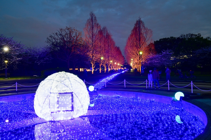 お花見広場寄りの噴水、球体オブジェクト(4月4日テスト点灯時撮影)