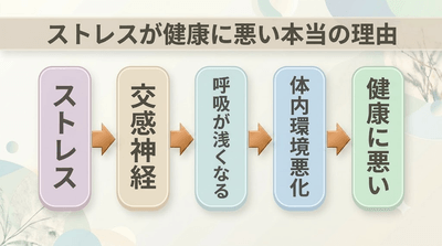 mmcmt6dg4R3tDpcbZ8ed.png?w=940&h=940