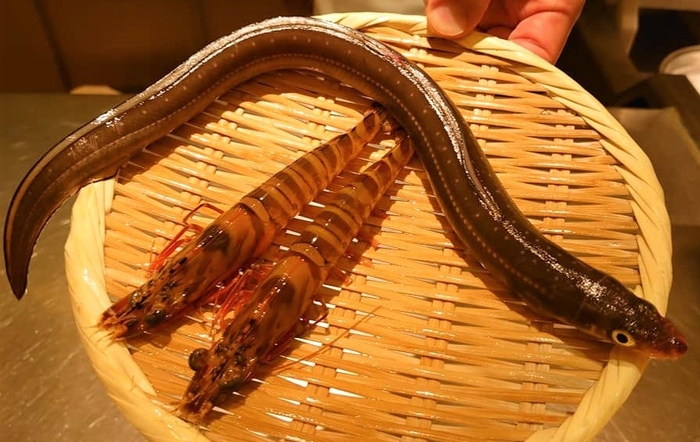 ”活穴子”と”活車海老”をご提供!