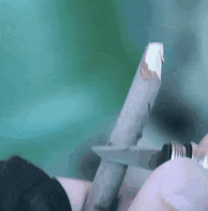 mnZCraR1hwJw5TVuZCJz.gif?w=940&h=940