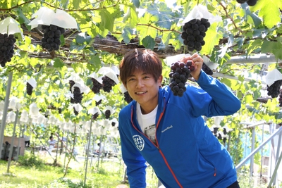 mna7M9JGnQKlozUyrBbi.jpg?w=940&h=940