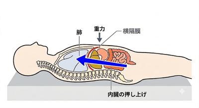 moWrAp7zKs8odR5sfJuu.png?w=940&h=940