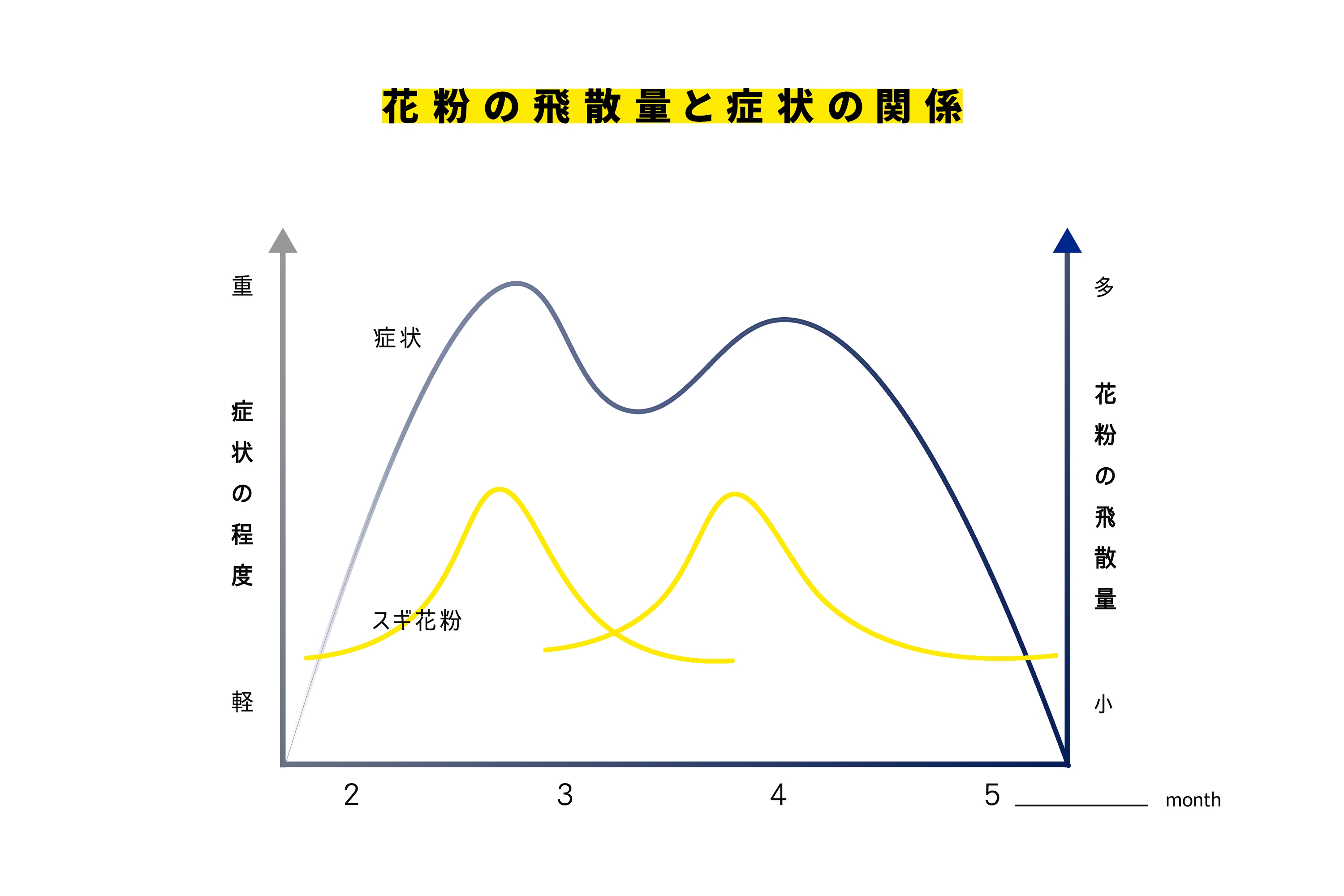 出典:花粉症ナビ、花粉の飛散量と症状の関係