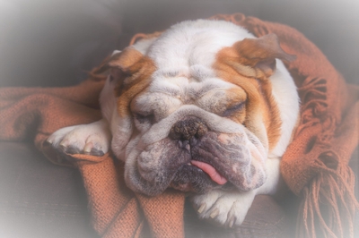 mq7ULMdd7LtG543TWjq9.jpeg?w=940&h=940