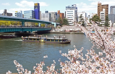 mqJ5D5hm9wtZh9kBofPs.jpg?w=940&h=940