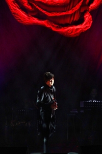 mrsj9SXCUiUyafgePwwR.jpg?w=940&h=940