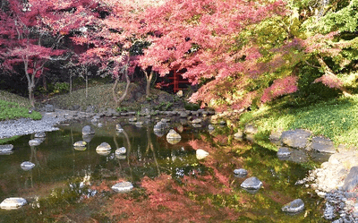 msaXNSkRQR2xX7XoLtBd.png?w=940&h=940