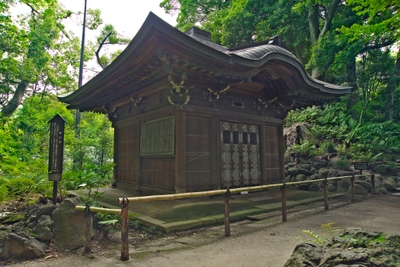 mslapwwfoUKCxZbAR89k.jpg?w=940&h=940