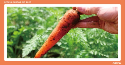 mspMkSbWKyHOaK9N4Cf2.jpg?w=940&h=940