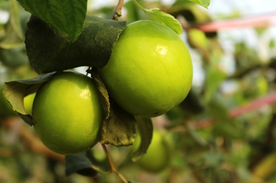 mvbaWkrPcE7e1KEYVndE.jpg?w=940&h=940