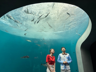 mwWojhTrJjNTbEz5L2Pg.JPG?w=940&h=940