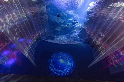 mxhOrwVc3gbEBUNRIskJ.jpg?w=940&h=940