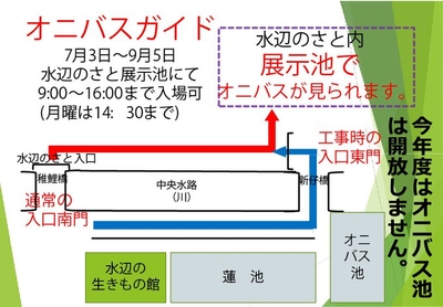 myLvEppAXDaDXf0V1tY6.jpg?w=940&h=940