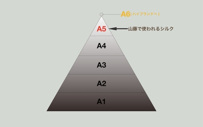 mzKaQddCmnyVYFFklonX.jpg?w=940&h=940