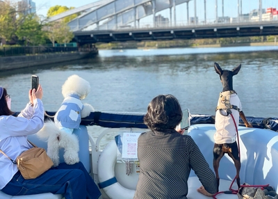 mzjXQAe0IEAwBQDD1sPj.jpg?w=940&h=940