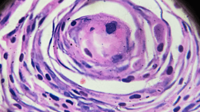 n04S7NGbYxfnReAtlI2z.png?w=940&h=940