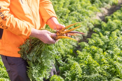 n0sRTiGbUUe8tjqtnNir.jpg?w=940&h=940