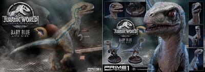 n1M8duq8gWxVP939pkSv.jpg?w=940&h=940