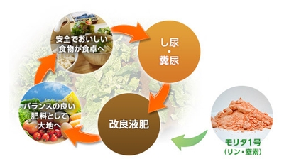 n1aR0CFGW7yNHI9B2lpM.jpg?w=940&h=940