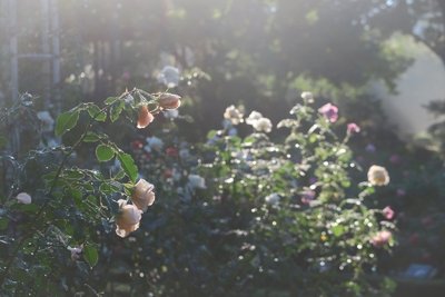 n1hJbDhBFfcyUiA7wNto.jpg?w=940&h=940