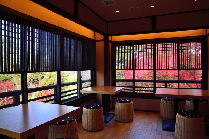 秋には店内から円山公園の紅葉を見下ろせます