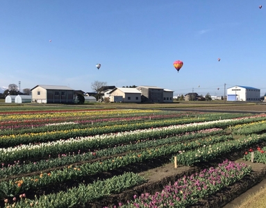 n23CkqOnzJeffPUqv8p5.jpg?w=940&h=940