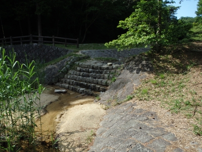 n5DGBSnuR9D4DiCpZ1rd.jpg?w=940&h=940