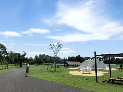 n5r0RtCmDjAcAUuEahUC.jpg?w=940&h=940